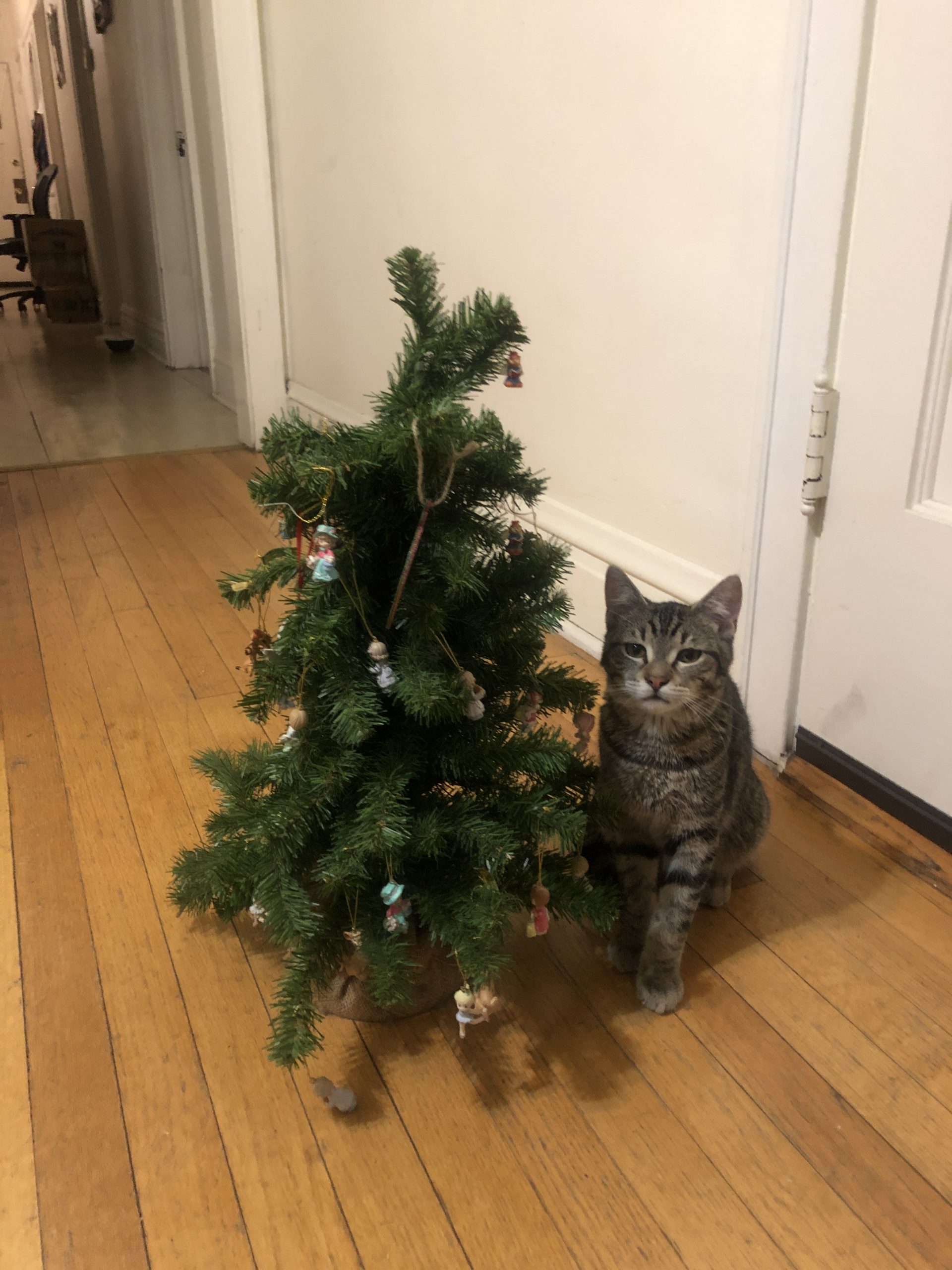Christmas Tree-1